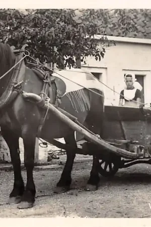 Walcheren Middelburg Walcherse Melkwagen Paard en wagen Boer en boerin in klederdracht HC41262 Zwrot pieniędzy