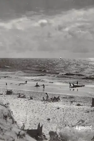 Egmond aan Zee Avondstemming Duinen strand en zee HC40950 Wyprzedaż