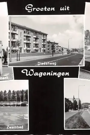 Wageningen Groeten uit 1967 Bevrijdings monument Zwembad Diedenweg Fontein en Prof. Ritsema Boschweg HC40940 Oryginalny