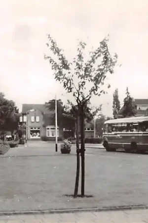 Soest Busstation met auto bus P.W.C. Tensen uit Soest HC40680 Wysoka jakość