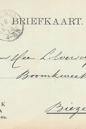 Szybka dostawa Gouda Prins Hendrikstraat 765 Bloemist W.L. Immink Bestelkaart 1914 Kleinrondstempel Biezelinge HC40674