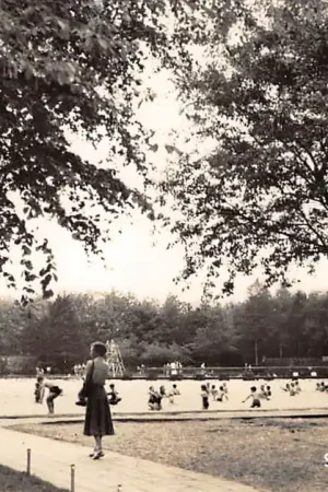 Soestduinen Natuurbad Zwembad Soest HC39979 Wysoka jakość