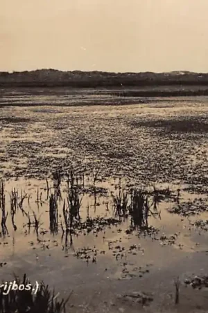 Texel De Geul Fotokaart 1931 HC39785 Popularny