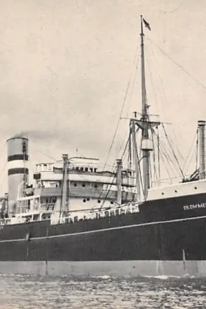 Ekspresowa dostawa Rotterdam s.s. Blommersdijk Holland Amerika Lijn Schepen Scheepvaart HC39527