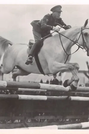 Bezpieczna płatność Zaltbommel Z.K.H. Prins Bernhard op het paard Axel\\