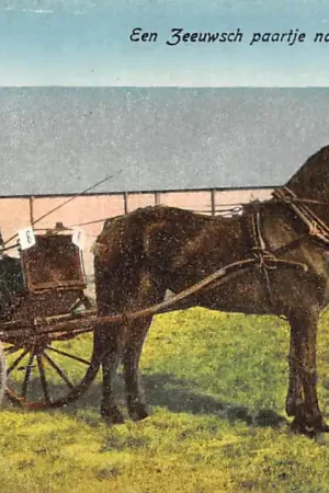 Zeeland Een Zeeuwsch paartje naar \\u2018t Concours Hippique Paard en wagen Walcheren HC39216 Rabat
