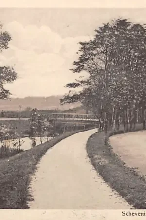 's-Gravenhage Scheveningsche boschje bij het Kanaal Koets met paard 1916 HC37948 Tylko dziś