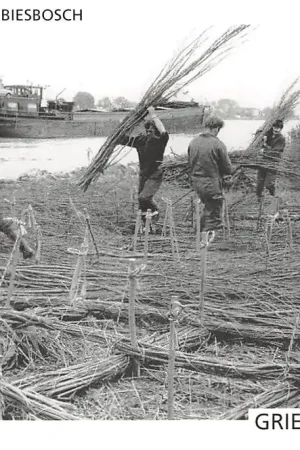 Sliedrecht Biesbosch Griendcultuur Merwede Binnenvaart schepen Scheepvaart HC37905 Najlepsza cena