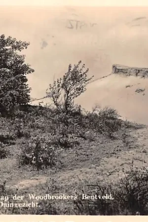 Bergen (NH) aan Zee Duinpanorama HC37646 Tani