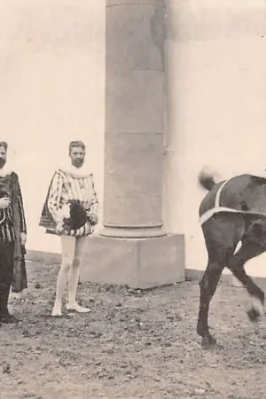 \\u2018s-Gravenhage Nationaal-Historischen Optocht 5 September 1913 Groep VI 1568-1584 Ruiter te paardHC37668 Tani