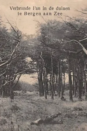 Bergen (NH) aan Zee Verbrande Pan in de duinen 1922 HC37213 Wysoka jakość