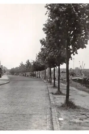 Sliedrecht Havengezicht 1955 Binnenvaart schepen Scheepvaart HC36903 Oryginalny