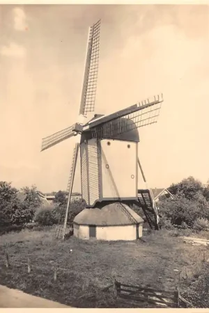 Scherpenzeel Gesloten standaardmolen 5 centskaart Molen HC36298 Darmowa dostawa