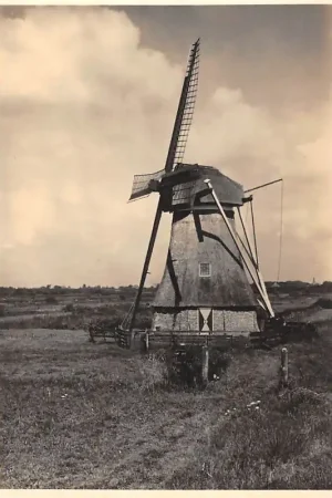 Wolvega Friesche Bovenkruier Water molen 5 centskaart Molenserie Nr. 19 HC36292 Kup teraz