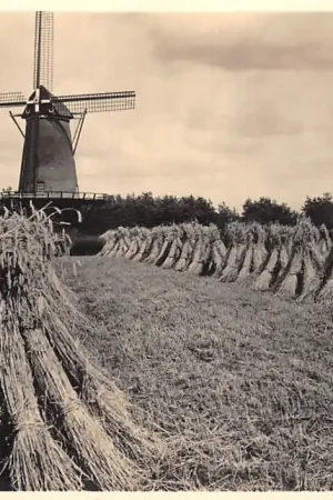 Wyprzedaż Bathmen bij Deventer Koren molen met stelling 5 centskaart Molenserie Nr. 21 HC36287