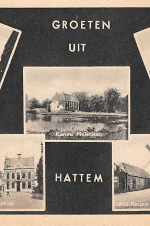 Bezpieczna płatność Hattem Groeten uit 1950 Dijkpoort Markt met Gemeentehuis Kasteel Molecaten Stadsmuur Molen Fortuin Veluwe HC36274