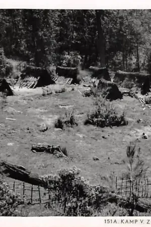 Zwrot pieniędzy Nederlands-Indië Java Kamp van Zwaveldragers Ladidjiwo Fotokaart Indonesië Indonesia Azië HC36222