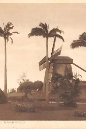 Barbados Windmill Sugar Works Caribische Zee Molen Noord-Amerika HC35921 Zamów teraz