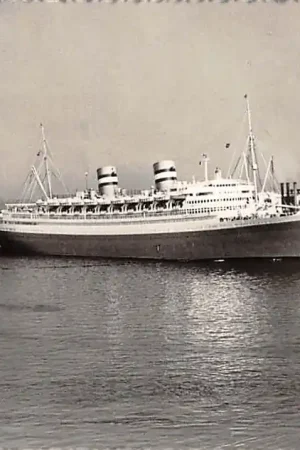Scheepvaart s.s. Nieuw Amsterdam der H.A.L. passeert Vlaardingen Holland Amerika Lijn 1957 Schepen Rotterdam HC35624 Autentyczny