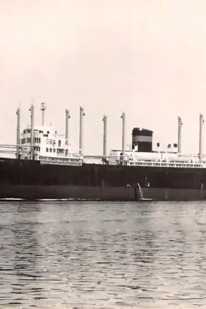 Scheepvaart m.s. Heemskerk Ver. Ned. Scheepv. Mij. 1960 Schepen Rotterdam HC35492 Tani