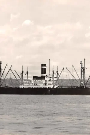 Scheepvaart t.s.s. Baarn (ex-Tropero ex-Clark Victory Kon. Ned. Stoomboot Maatschappij N.V. Amsterdam 1958 Schepen HC35488 Wyprzedaż