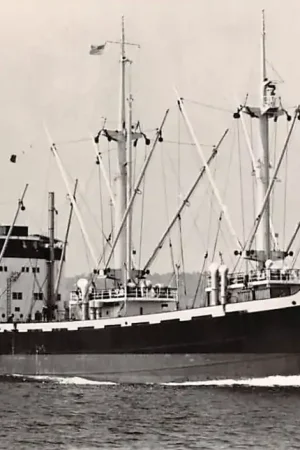 Wyprzedaż Scheepvaart New York Harbor The Dutch motorship m.s. Themis Kon. Nederl. Stoomboot Mij. Amsterdam 1961 Schepen Noord-Amerika HC35485