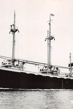 Scheepvaart m.s. Adonis Kon. Nederl. Stoomboot Mij. Amsterdam Schepen HC35484 Autentyczny