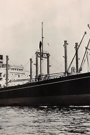 Scheepvaart s.s. Alblasserdijk Holland Amerika Lijn 1959 Schepen Rotterdam HC35546 Zamów teraz