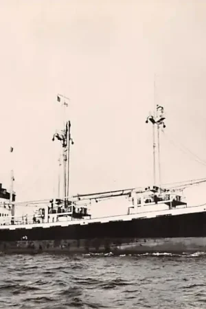 Wysoka jakość Scheepvaart m.s. Attis New York Harbor USA Kon. Nederl. Stoomboot Mij. Amsterdam 1961 Schepen Noord-Amerika HC35483