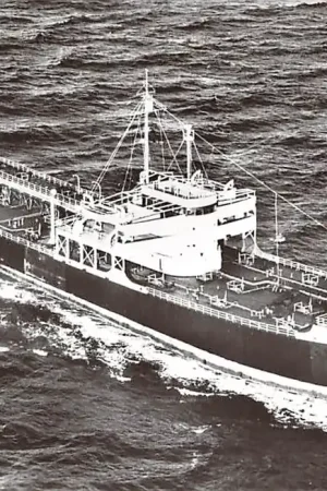 Autentyczny Rotterdam PHs. Van Ommeren N.V. m.t.s. Papendrecht 1962 Schepen Scheepvaart HC35355