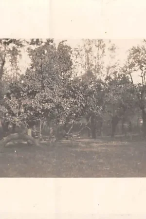 Wyprzedaż Rotterdam Spangen Boerderij Vreelust Boomgaard Fotokaart HC35228