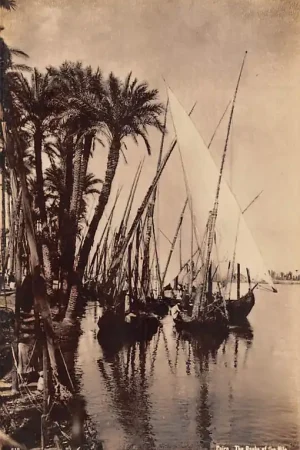 Egypte Cairo The Banks of the Nile Fotokaart Vissers schepen Egypt Afrika HC35035 Darmowa dostawa