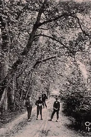 Tylko dziś Oostvoorne aan Zee 't Zwarte Laantje 1911 HC35137