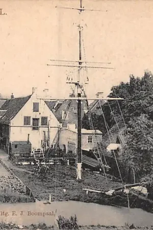 Ekspresowa dostawa Delfzijl Groeten uit 1907 Tulp HC35100