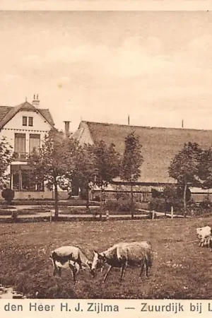 Zuurdijk bij Leens Groningen Boerderij van den Heer H.J. Zijlma 1927 HC34871 Oferta limitowana