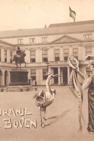 Szybka dostawa 's-Gravenhage Paleis 1909 Geboorte Prinses Juliana 't Is Oranje 't blijft Oranje 't Is Oranje boven Koningshuis HC34503