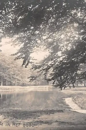 Baarn Fotokaart Groote Kom in het Bosch HC33720 Popularny