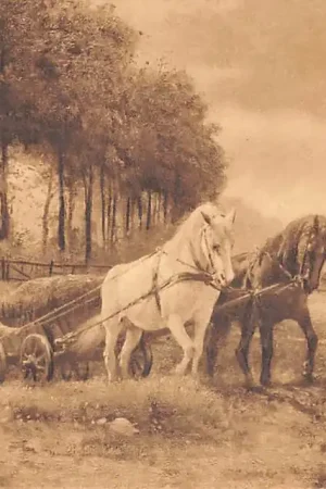 Friesland Boer met hooiwagen en paarden Illustrator O. Erelman Landleven Dorpsleven 1915 HC33646 Promocja