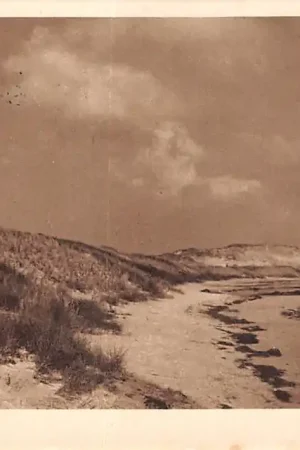 Terschelling Dellewal 1923 Duinen strand en zee HC33615 Popularny