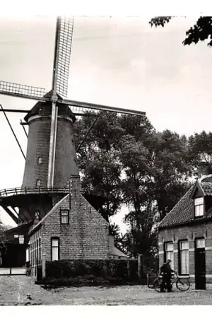 Sluis (ZL) Molen 1964 Zeeuws-Vlaanderen HC33163 Rabat