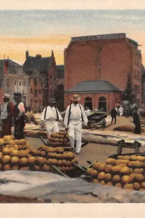 Alkmaar Kaasmarkt Markt 1918 Klederdracht Vintage HC33072 Oryginalny
