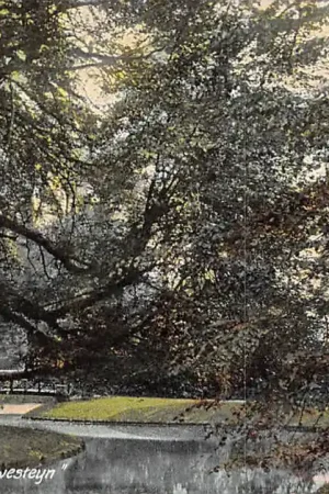 Dordrecht Park Merwesteijn 1905 HC32724 Niska cena