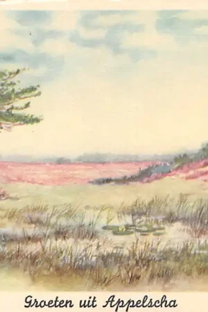 Appelscha Groeten uit 1955 Heide gezicht HC32662 Szybka dostawa