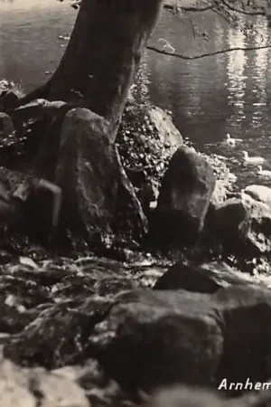 Arnhem Rotspartij Sonsbeek met eenden 1931 Newo fotokaart HC32310 Nowość