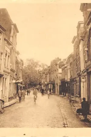 Gouda Lange Tiendeweg Hondenkar HC32031 Zamów teraz