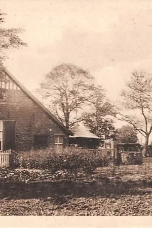 Wysoka jakość Doetinchem Geldersch Kiekje Boerderij Achterhoek HC31262