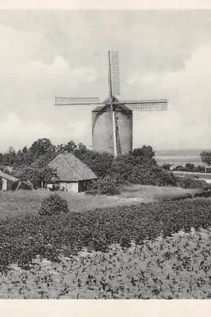 Zeddam Korenmolen Molen HC30718 Premium