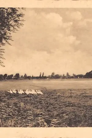 Bodegraven Langs de Weiweg met molen 1942 HC30640 Oryginalny