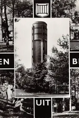 Wysoka jakość Bilthoven Groeten uit 1969 Julianalaan Natuurbad Watertoren Gemeentehuis Gezichtslaan Zwembad HC29907