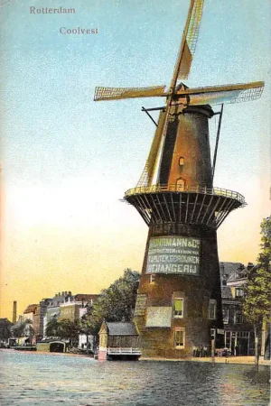 Ekspresowa dostawa Rotterdam Coolvest Molen HC29411